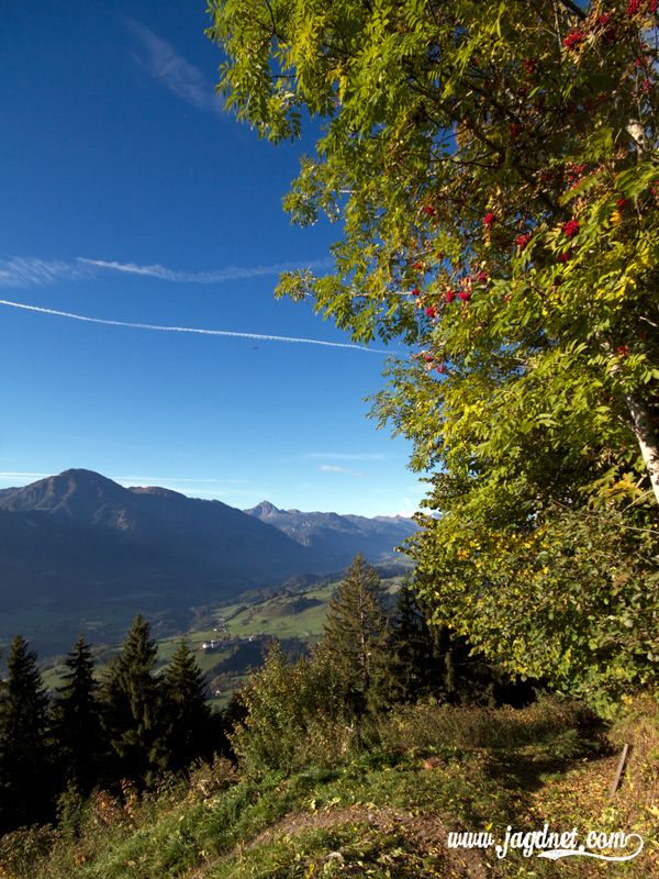 Revier-Jagd-Impressionen-Oktober-01