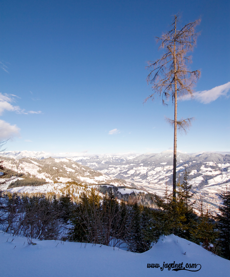 die kühle Winterluft beschert uns oft eine klare Fernsicht 