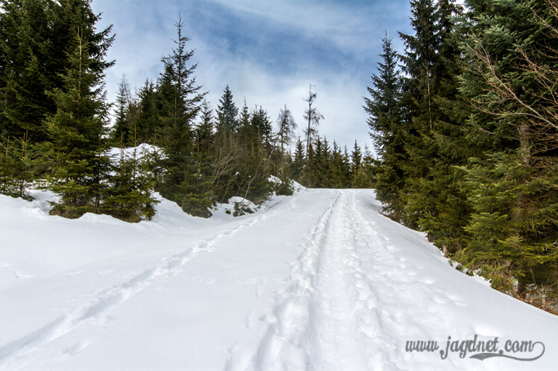 Jagd-Revier_Impressionen-Februar-16-1